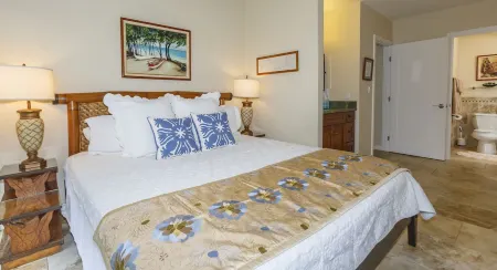 STUNNING OCEANFRONT * Poipu's Best View * New Air Conditioning throughout