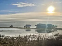 Ferienhaus "sanderling" - Gemütliches Holzhaus mit Blick auf die Schafswiesen