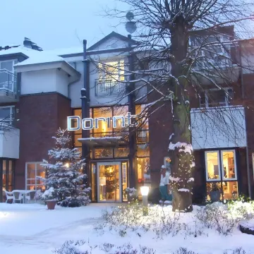 Lion Apartments - Bright Side - Housity