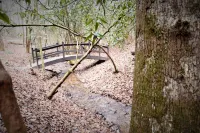 Whispering Creek on Brown Bear - Creekside Cabin