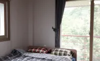 Seongju Gaya Healience Pension