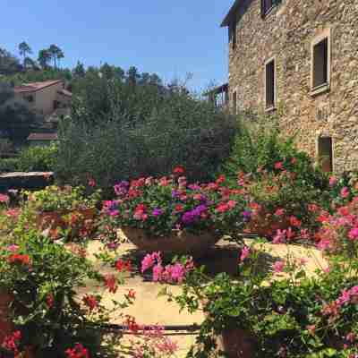 Italianway - The Grapefruit House - Villa con piscina Hotel Exterior