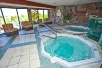 Carson Valley Motor Lodge and Suites - spa