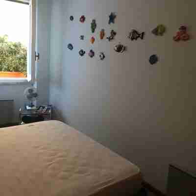 Pitosforo Rooms