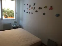 Pitosforo