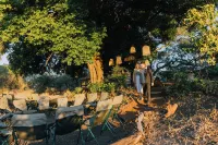 Kruger Untamed - Satara Plains Camp