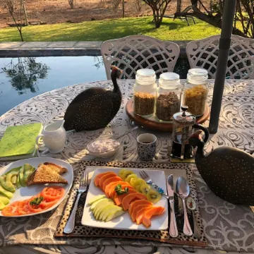 Call of the Wild Lodge