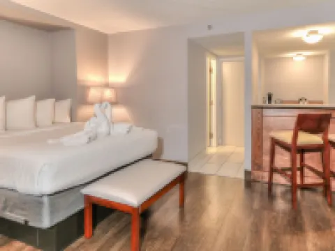 โรงแรม เดอะ แรมซีย์ และศูนย์การประชุม พิเจียน ฟอร์จ โรงแรมในพีเจียนฟอร์จ