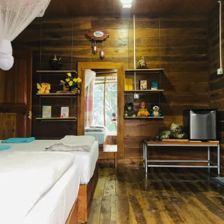 Ella Nature Nest