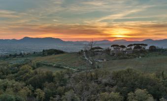 Casa Pinocchio at Borghetto Farmhouse