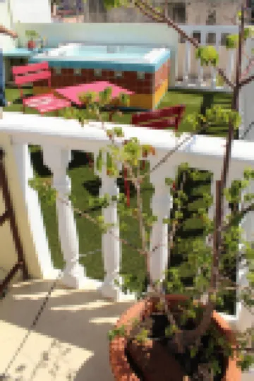 Cancun Guest House 4 Terrace Tub