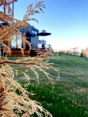 Lavira Tiny House Village Hotels in Dörttepe Mahallesi