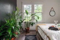 Jungle Thyme Hotels in Chillicothe