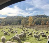 Lusi è in collina Hotels in Cortazzone