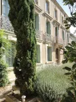 MAISON MARIE-LOUISE Hotels in Luc-sur-Orbieu