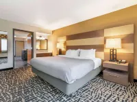 Quality Inn & Suites Mayo Clinic Area Hoteles en Rochester