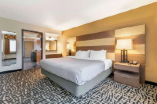 Quality Inn & Suites Mayo Clinic Area