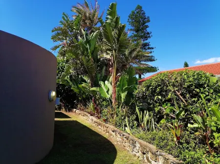 All the Tides - Rip Tide