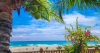Crystal Shore Beach Resort Powered by Cocotel - Meerblick