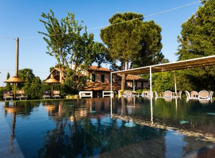 Trerè Agriturismo e Vini a Faenza
