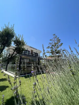Dalyan Risus Suite