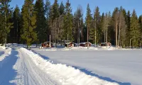 Älgparkens Stugby Hotels in Bergby
