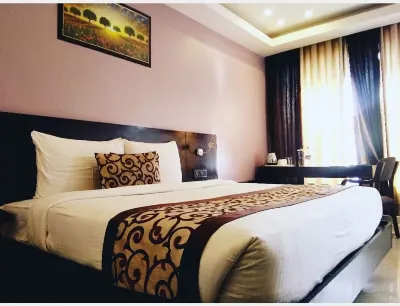 Vijay Paradise Lucknow Hotels near Climax Academy and Library