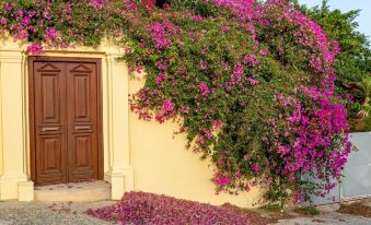 Theoxenia Kasos Luxury Apartments