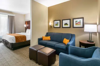 Comfort Suites Hopkinsville Near Fort Campbell Отели в г. Хопкинсвилл