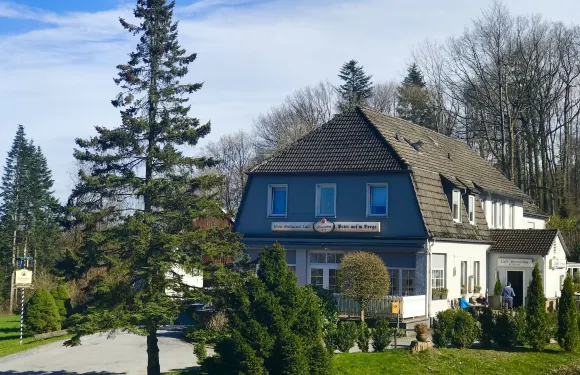 彼得山沃德酒店