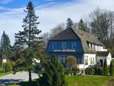 Waldhotel "Peter Aufm Berge" Отели в г. Штайнхаген