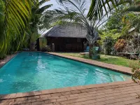 A Traveller's Palm - Pools