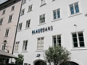 ArtHotel Blaue Gans