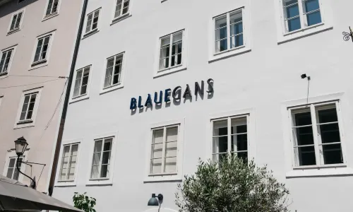 ArtHotel Blaue Gans