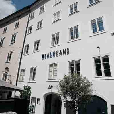 藍騎士甘斯藝術酒店 Hotel Exterior