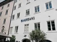 ArtHotel Blaue Gans Hotels near Felsenreitschule