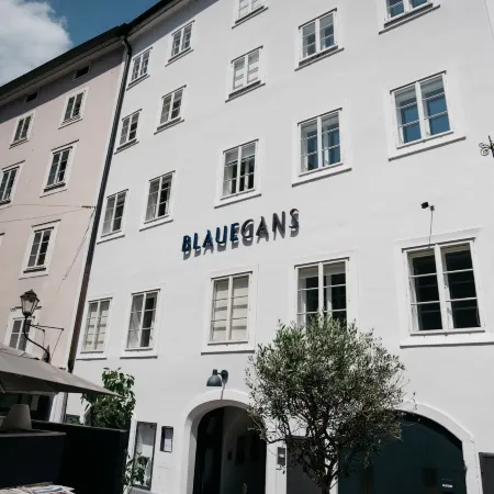 ArtHotel Blaue Gans