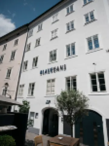 ArtHotel Blaue Gans