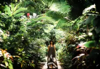 Bahia del Sol Beach Front Boutique Hotel Hotel a 