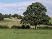 Quixhill - Denstone - Dove Meadow B & B Hotels in Denstone