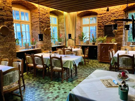 Hotel im Lustgarten Отели в г. Хиршберг