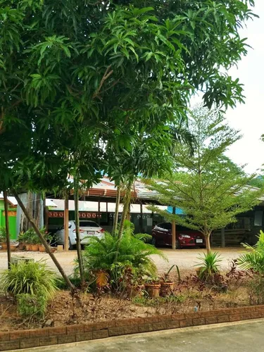 รูปภาพของบลูเฮ้าส์ สุโขทัย