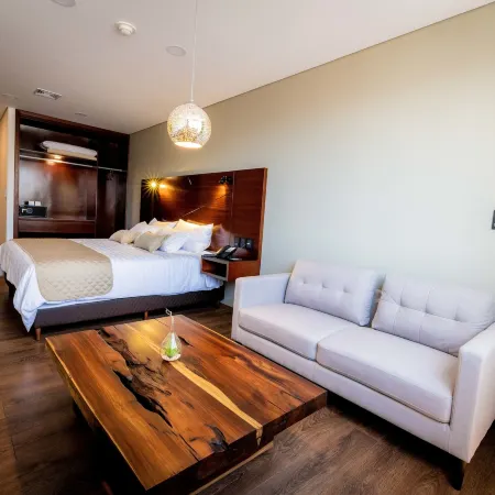 Hotel Mitru Sur