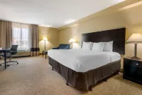 Comfort Inn International Drive Hôtels à : Orlando