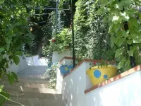 Il Giardino Dei Limoni
