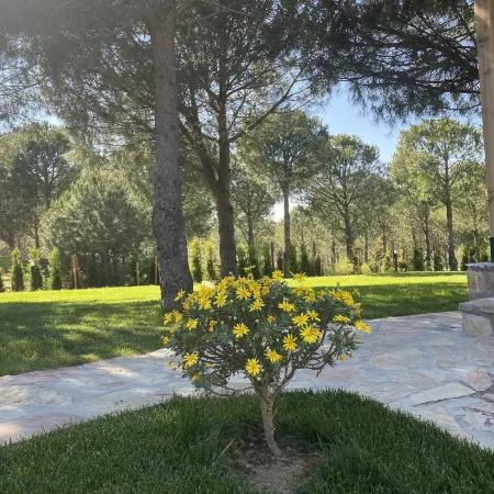 Elyada Otel ve Bağ Evi 8 Yaş Üstü