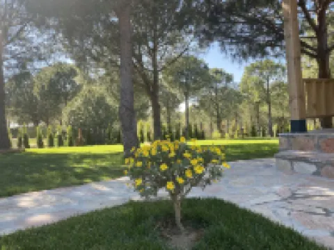 Elyada Otel ve Bağ Evi 8 Yaş Üstü