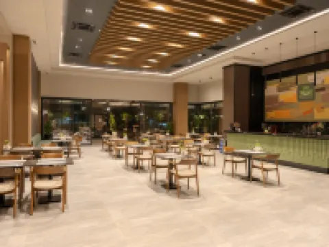 デデマン アダナ アダナのホテル