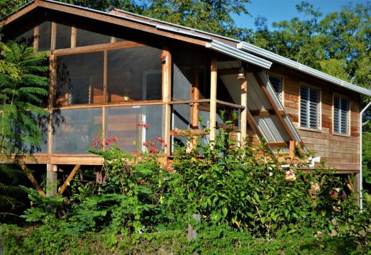 A Two Bedroomed Tree Top Vacation Home in the Tropical Acre San Ignacio Belize - Housity