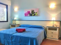 Residence in Stintino Just 50 mt from the Sea